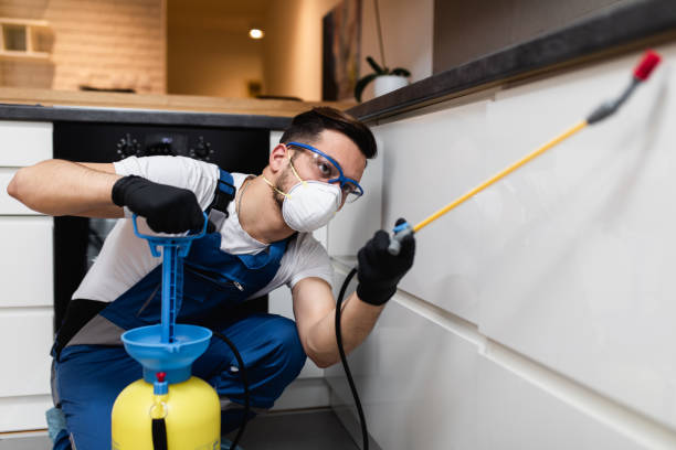 Best Affordable Pest Control Services  in Houghton, NY