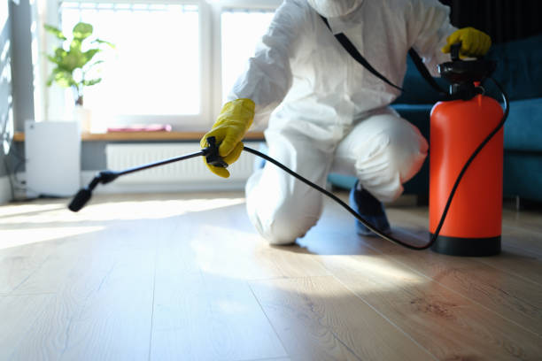Best Exterminator Services  in Houghton, NY