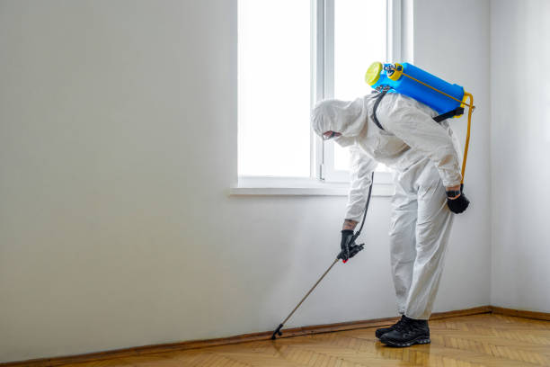 Best Local Pest Control Services  in Houghton, NY