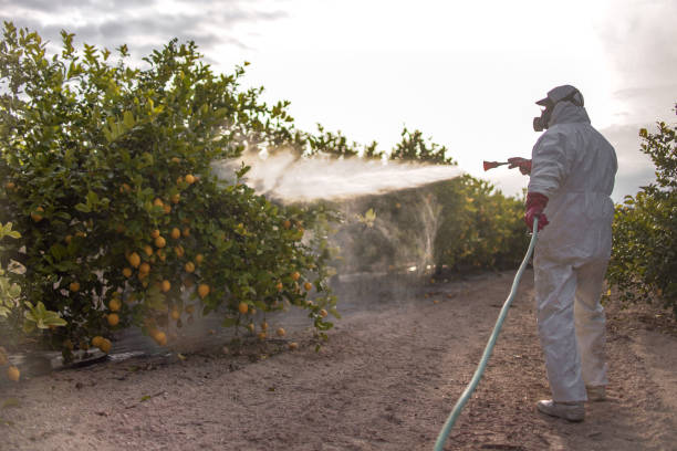 Best Residential Pest Control  in Houghton, NY