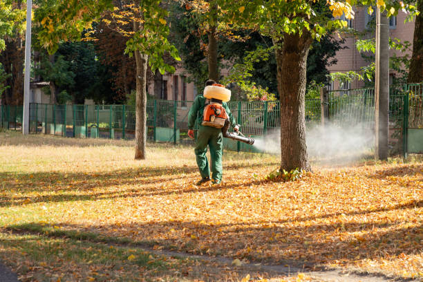Best Insect Control  in Houghton, NY