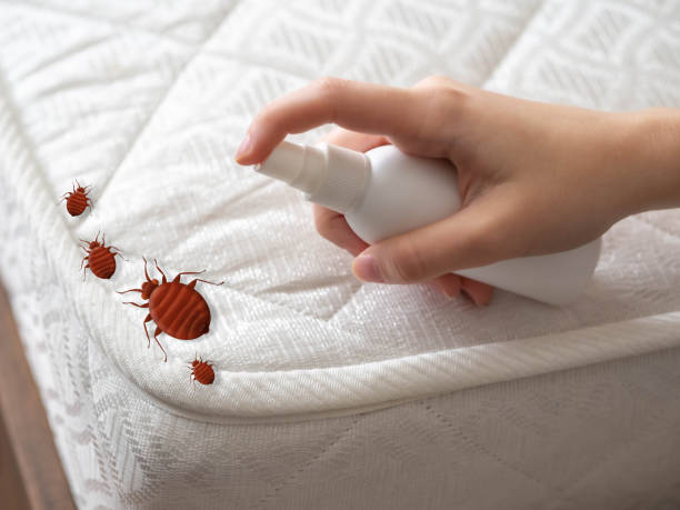 Houghton, NY Pest Control Company
