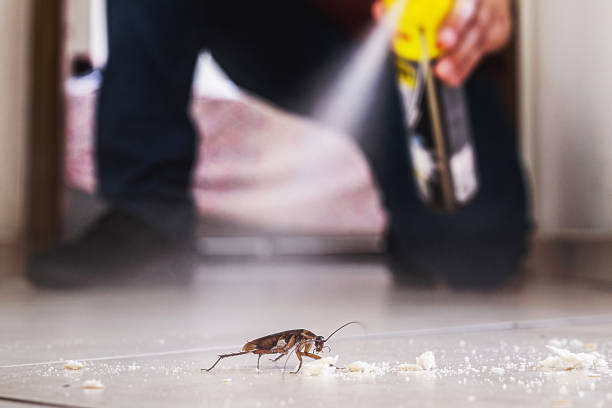 Best Best Pest Control Companies  in Houghton, NY